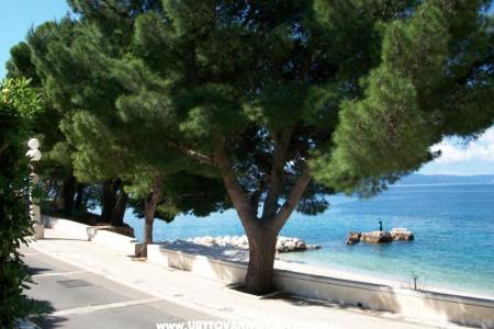 Apartments Mirjana Gnjec photo 3