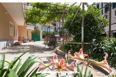 Apartments Lucijetić photo 3