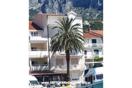 Palm tree apartman photo 4