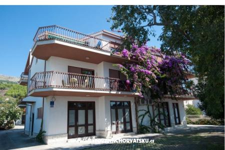 Apartment Rino photo 3