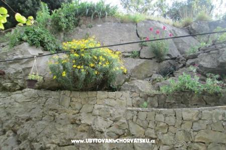 Apartment Rio photo 3