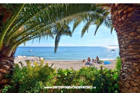 Apartments Palme photo 4