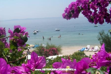 Apartments Petar Vlašić Podstrana Croatia