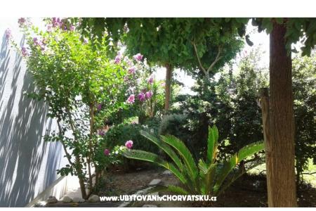 Villa Gina photo 5