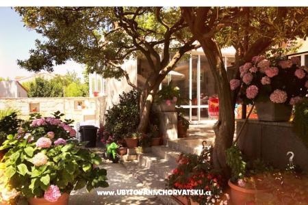 Apartments &amp; Rooms Tomas photo 4