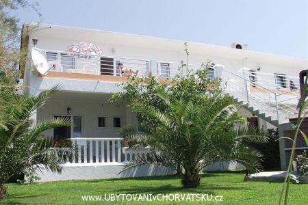 Apartments Antonia photo 3