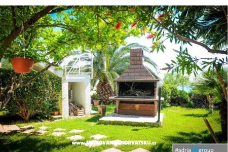 Apartments Antonia photo 5
