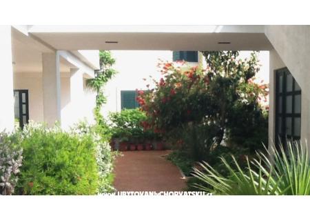 Villa Tamaris photo 5