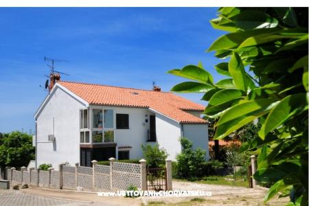 Apartment Dragica photo 3