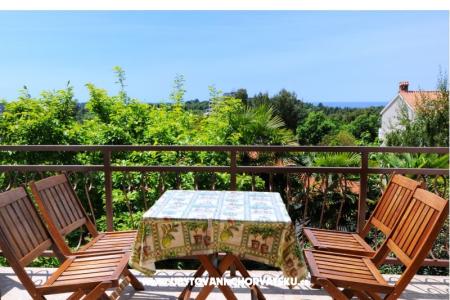 Apartment Dragica photo 4