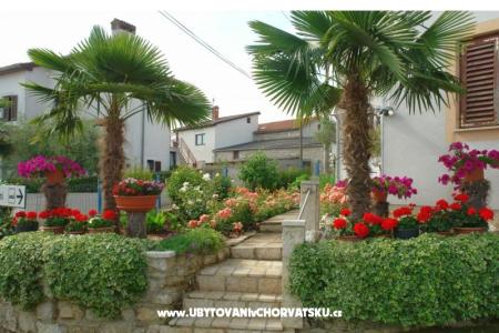 Apartments Milokanović photo 4