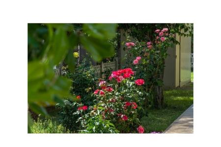 Apartments Stanic photo 5