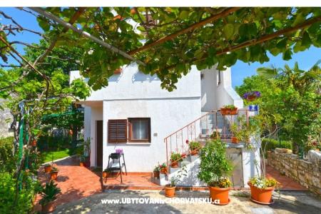 Apartments Danica photo 4