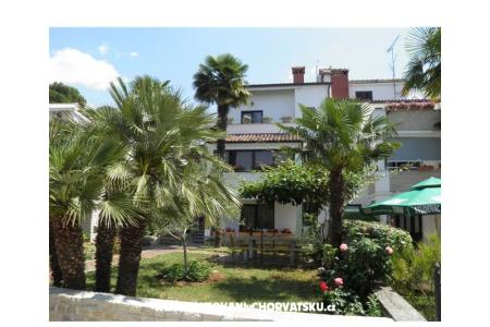 Villa Carolina photo 2