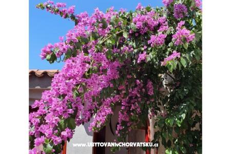 Apartments Kero photo 3