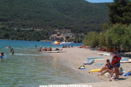 Apartments Cvetko photo 4