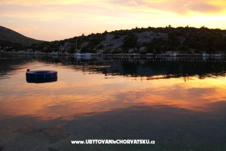 Villa Polajner Apartments photo 4