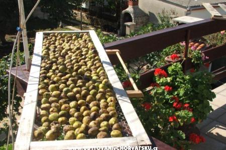 Anna Maria apartman photo 5