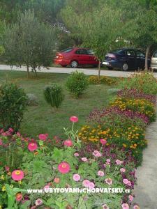 Apartments Mare & Berto photo 2