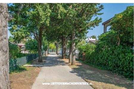 Apartments Natali photo 4