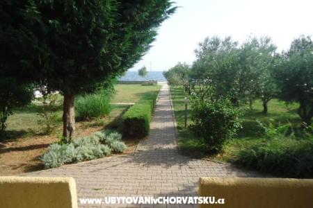 Apartments Tartaro photo 3