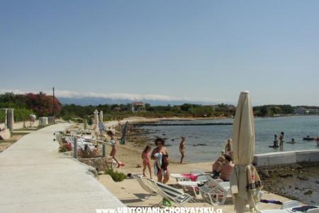 Apartments Villa Goga  photo 2