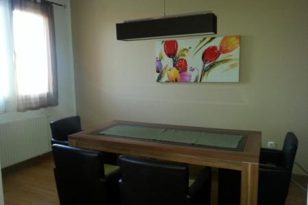 Apartment Latica photo 2