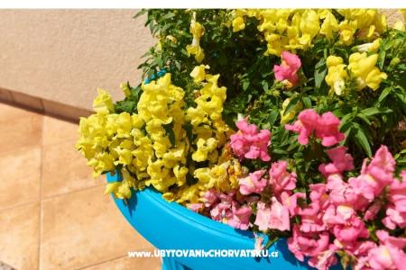 Apartment Sandra photo 5