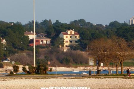 Apartments Grbin photo 2