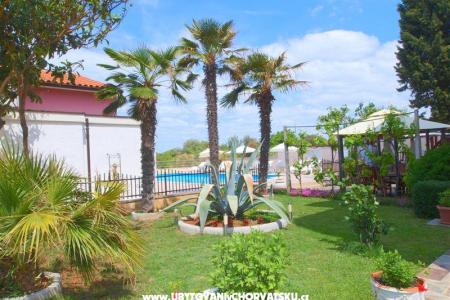 Apartments with pool Jadranka photo 3