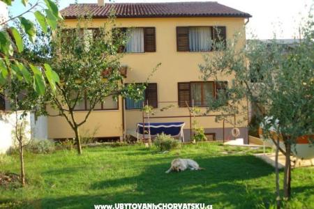 Apartnan Borik photo 2