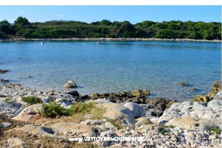 Arcobaleno Appartamenti photo 4