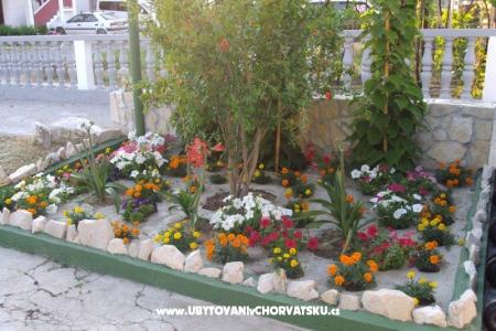 Apartments Ancy photo 3