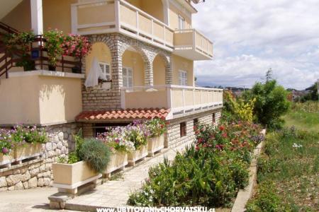 Apartments Duje photo 3