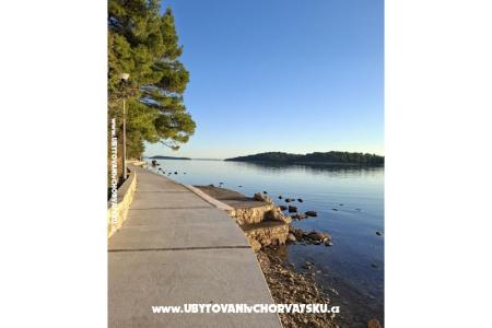 Apartments Palit Rab photo 4