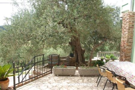 Apartments Dumičić photo 2