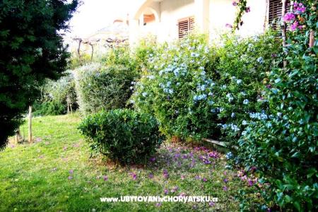 House Ivanić photo 2