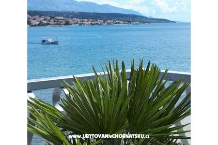 La Gatta Apartments photo 3