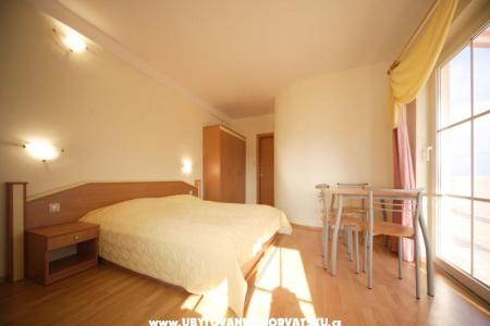 Pansion Bellevue photo 3