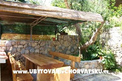 Pansion Vukusic photo 3