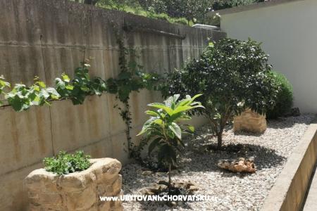 Apartments CAPE photo 3