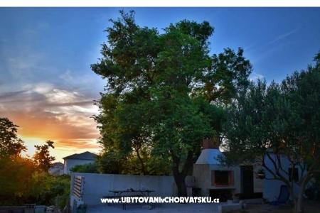 Apartments Irena photo 5