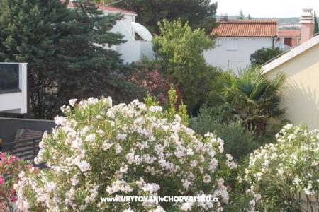 Apartment Brigita photo 3