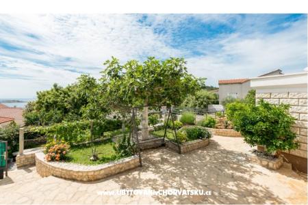 Apartments Iva photo 2