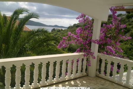 Apartments Vesna photo 5