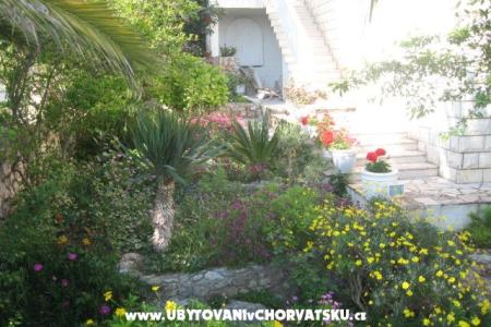 Villa Jozo Apartments photo 5