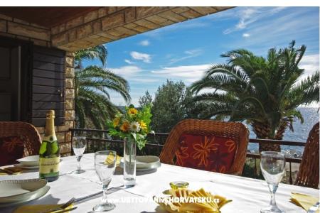 Apartment Villa Sunshine photo 5