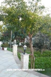 Apartments Milica photo 5