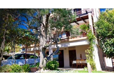 Appartments Viktor photo 2