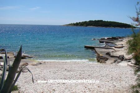 House Two Cypresses photo 3